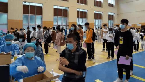 最新龙吟爆料消息视频,揭秘神秘龙族势力崛起之谜  第3张