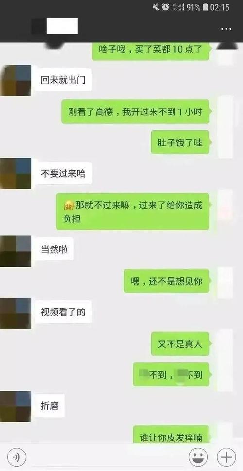 吃瓜免费聊天记录下载,一场网络社交的狂欢与反思