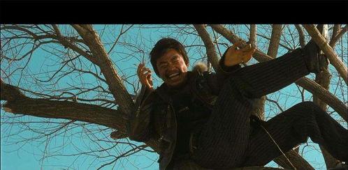 哈喽树先生在线观看,穿越时空的奇幻之旅 第3张 哈喽树先生在线观看,穿越时空的奇幻之旅 第3张